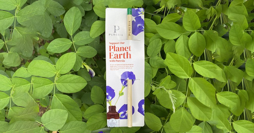 Puresia seed pencil pensil benih butterfly pea